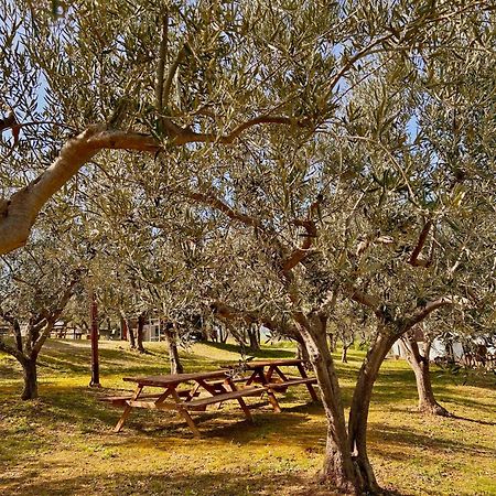 Oasi Macerina Villa Alanno Dış mekan fotoğraf