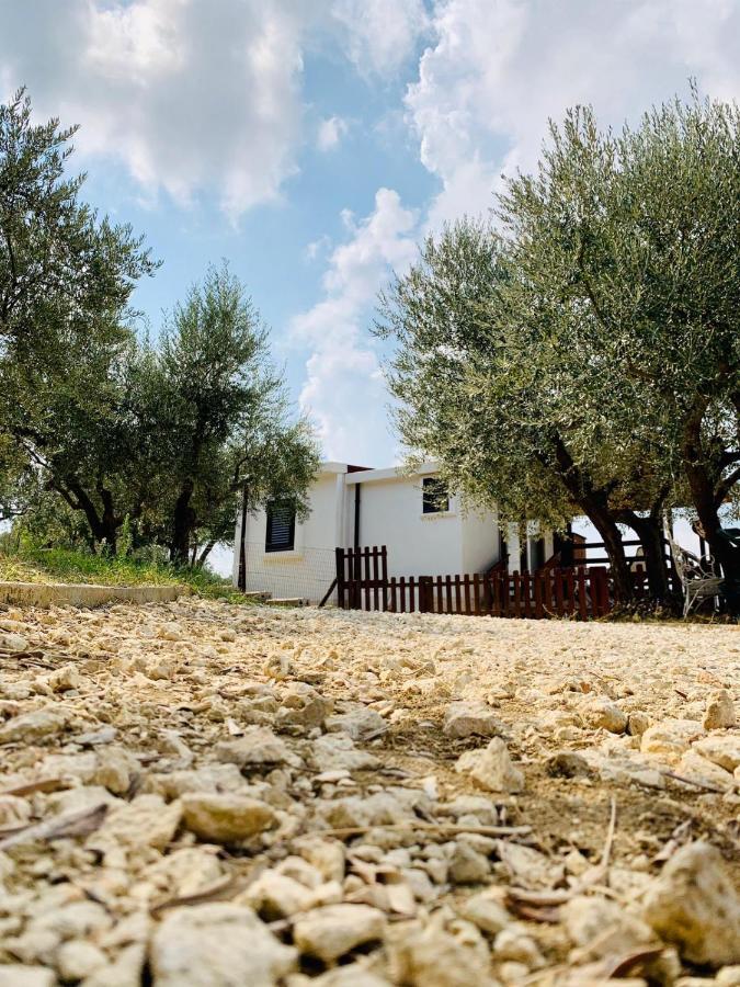 Oasi Macerina Villa Alanno Dış mekan fotoğraf