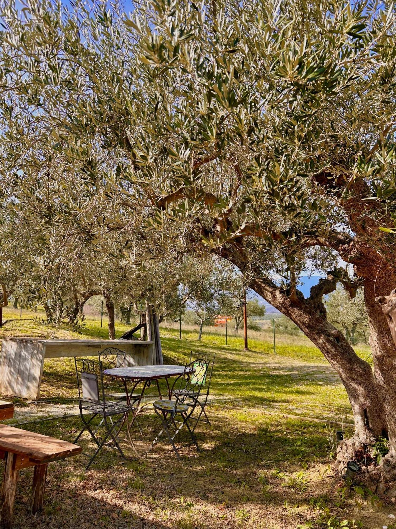 Oasi Macerina Villa Alanno Dış mekan fotoğraf