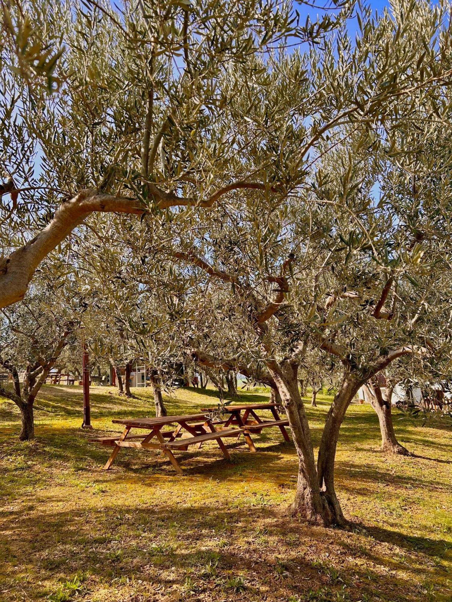 Oasi Macerina Villa Alanno Dış mekan fotoğraf