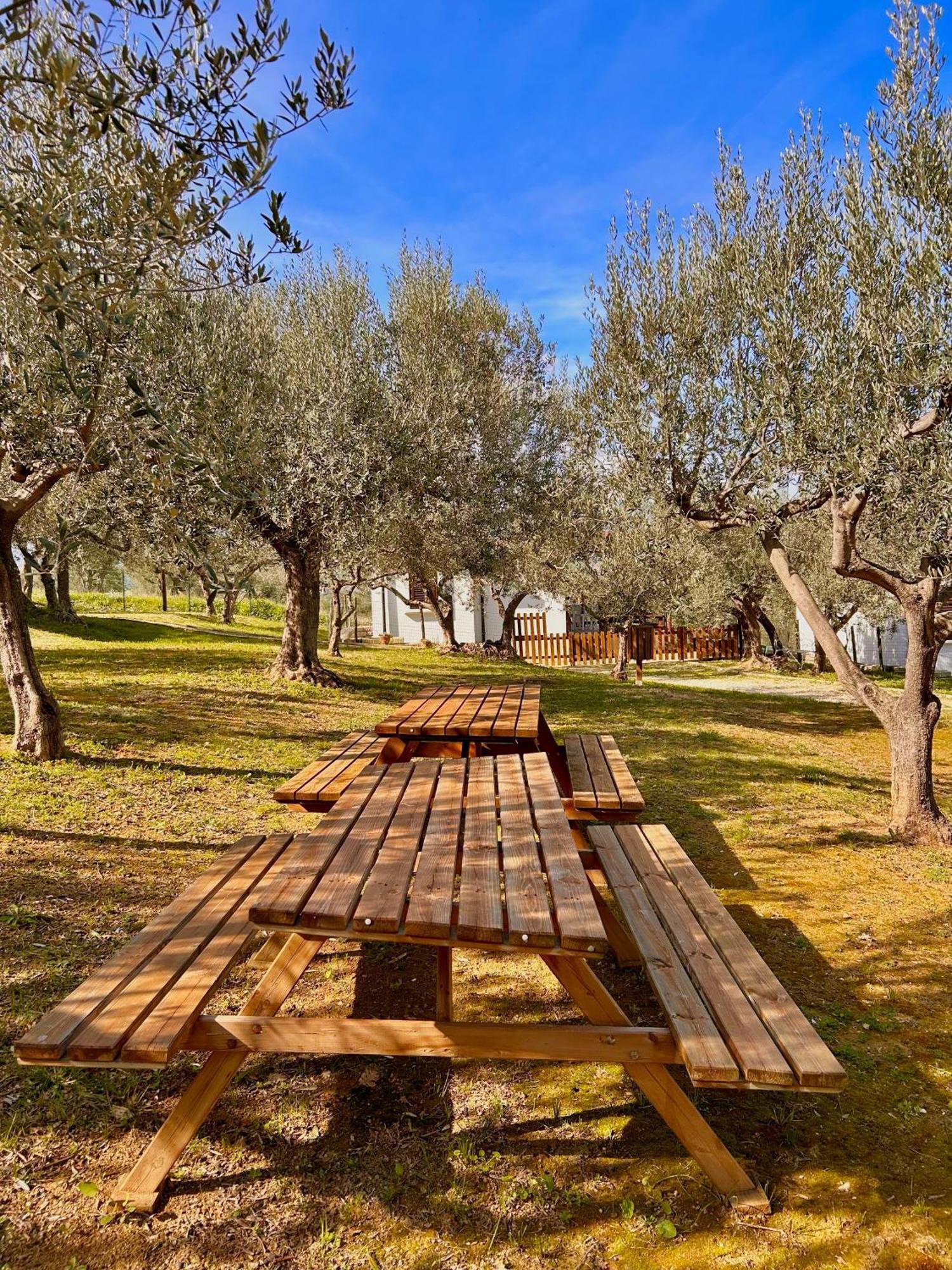 Oasi Macerina Villa Alanno Dış mekan fotoğraf