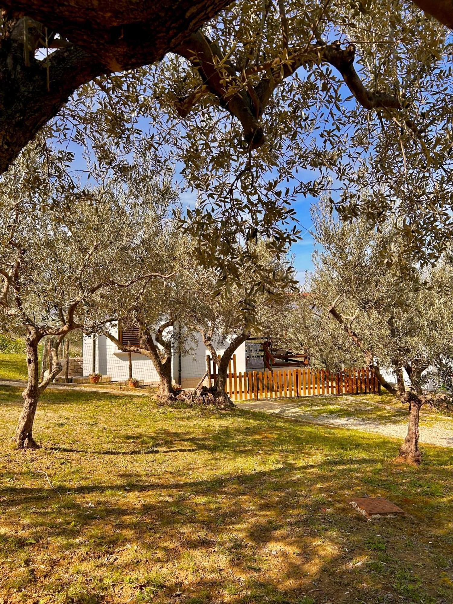Oasi Macerina Villa Alanno Dış mekan fotoğraf