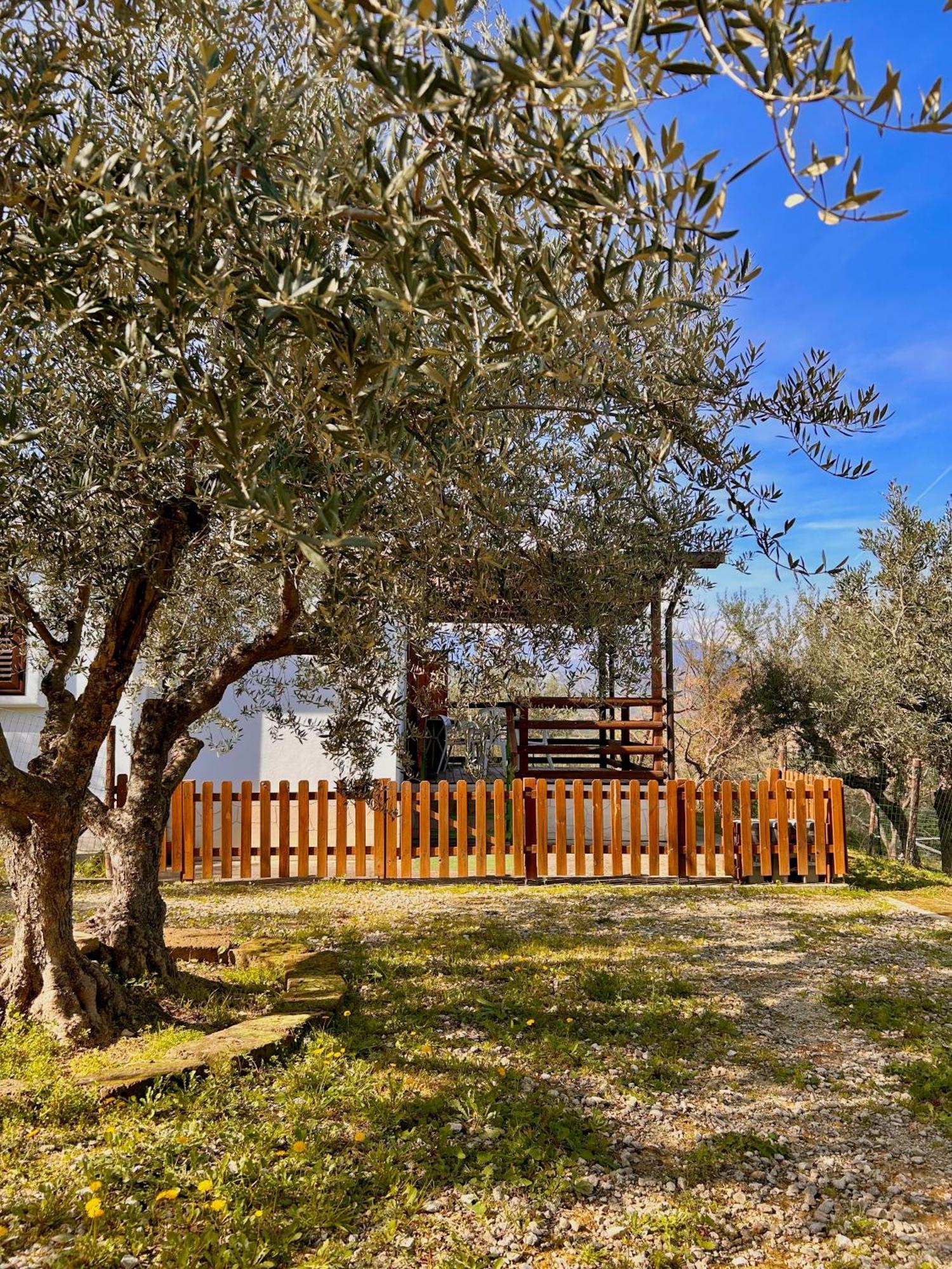 Oasi Macerina Villa Alanno Dış mekan fotoğraf