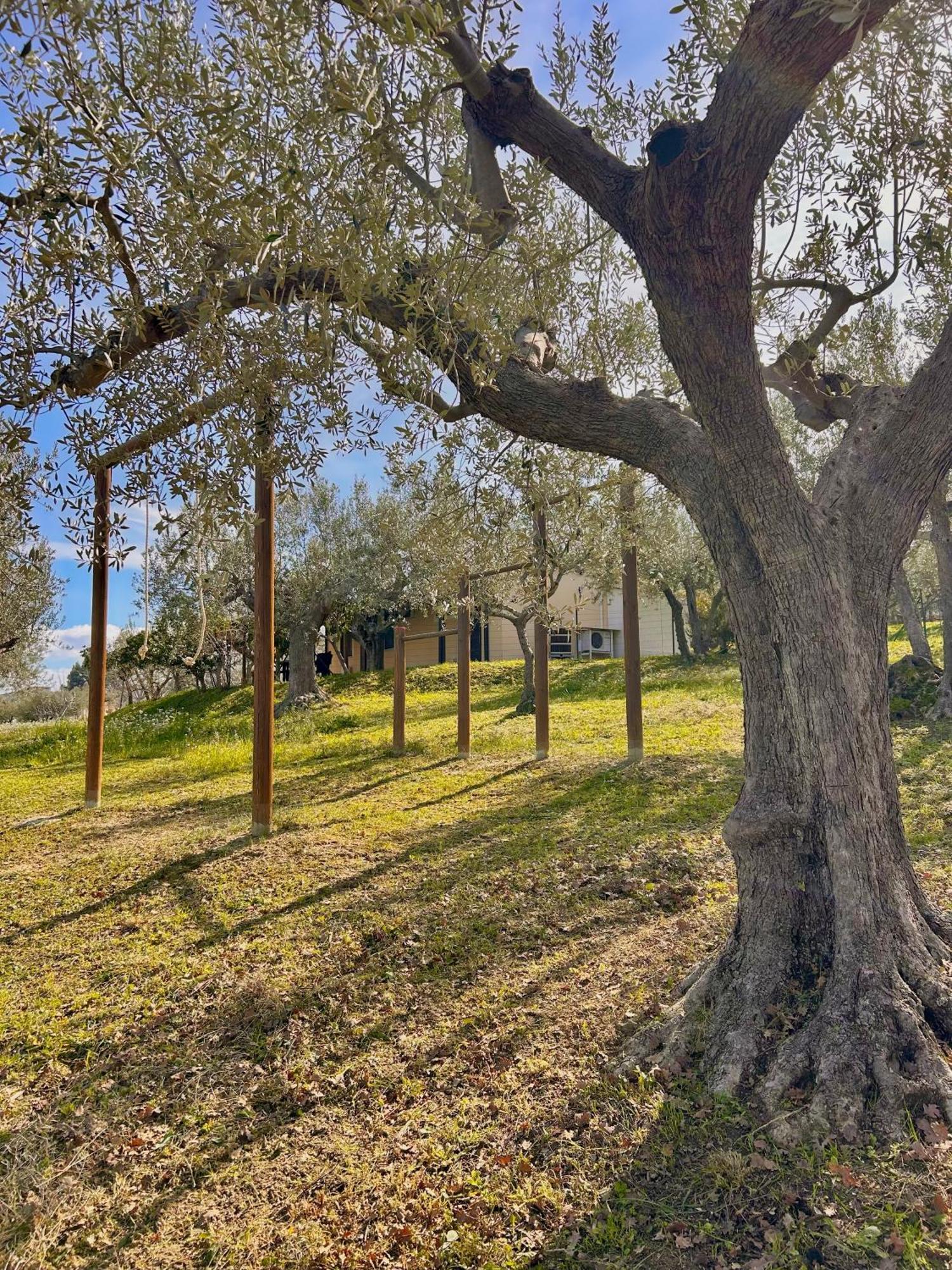 Oasi Macerina Villa Alanno Dış mekan fotoğraf