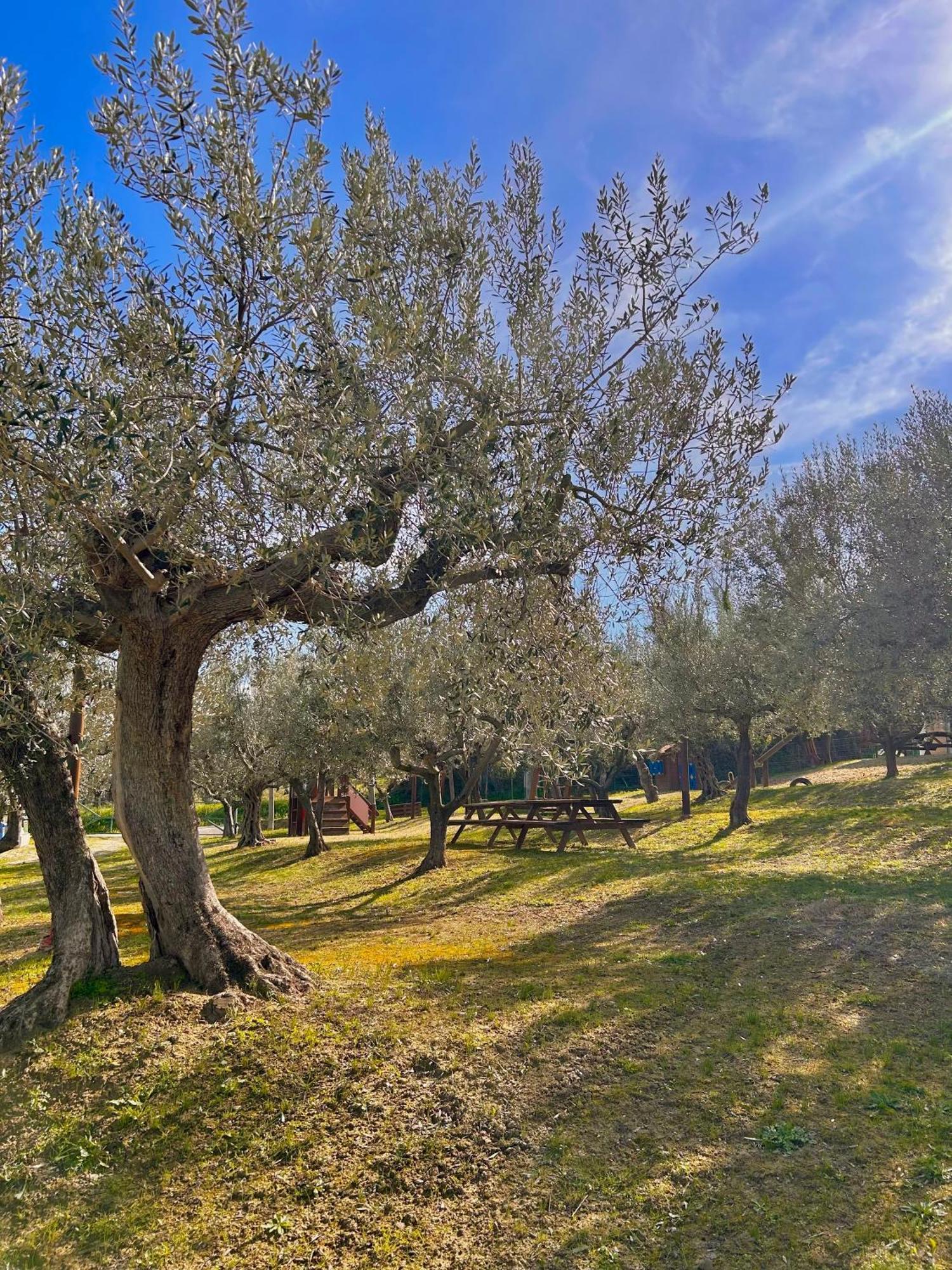 Oasi Macerina Villa Alanno Dış mekan fotoğraf