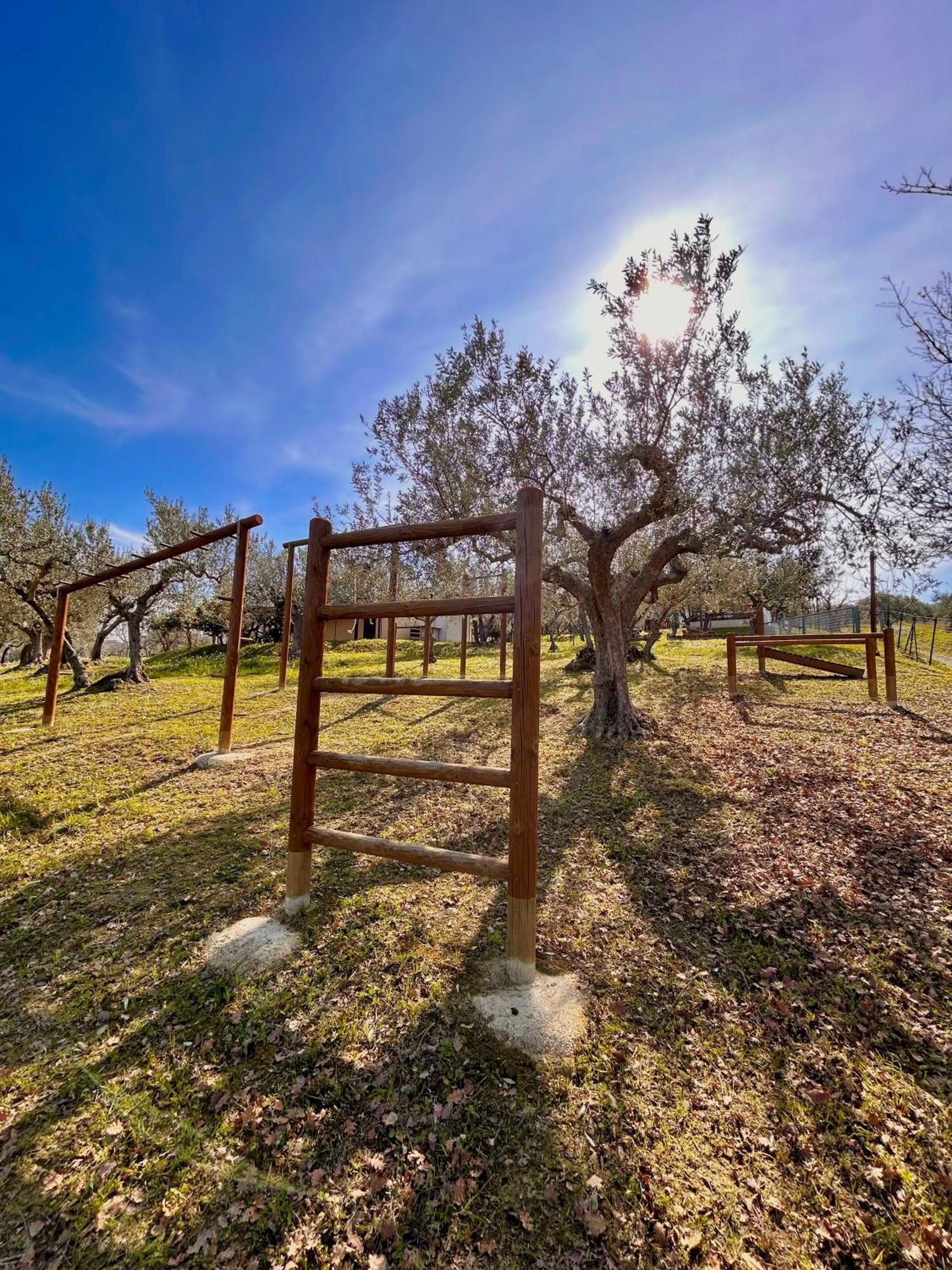 Oasi Macerina Villa Alanno Dış mekan fotoğraf