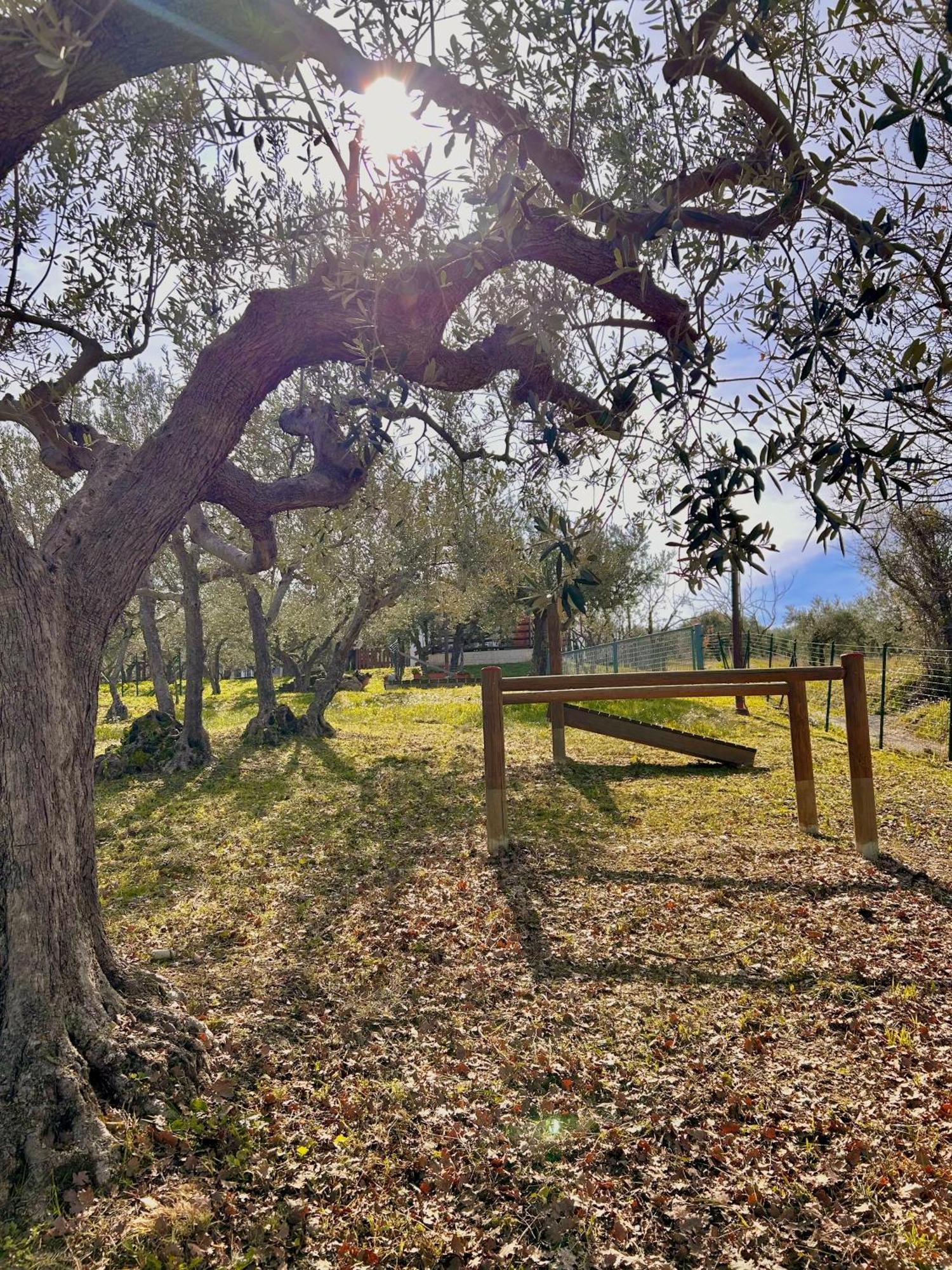 Oasi Macerina Villa Alanno Dış mekan fotoğraf