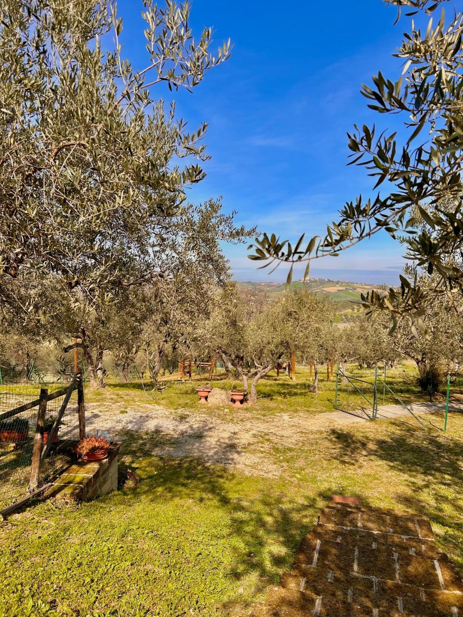 Oasi Macerina Villa Alanno Dış mekan fotoğraf