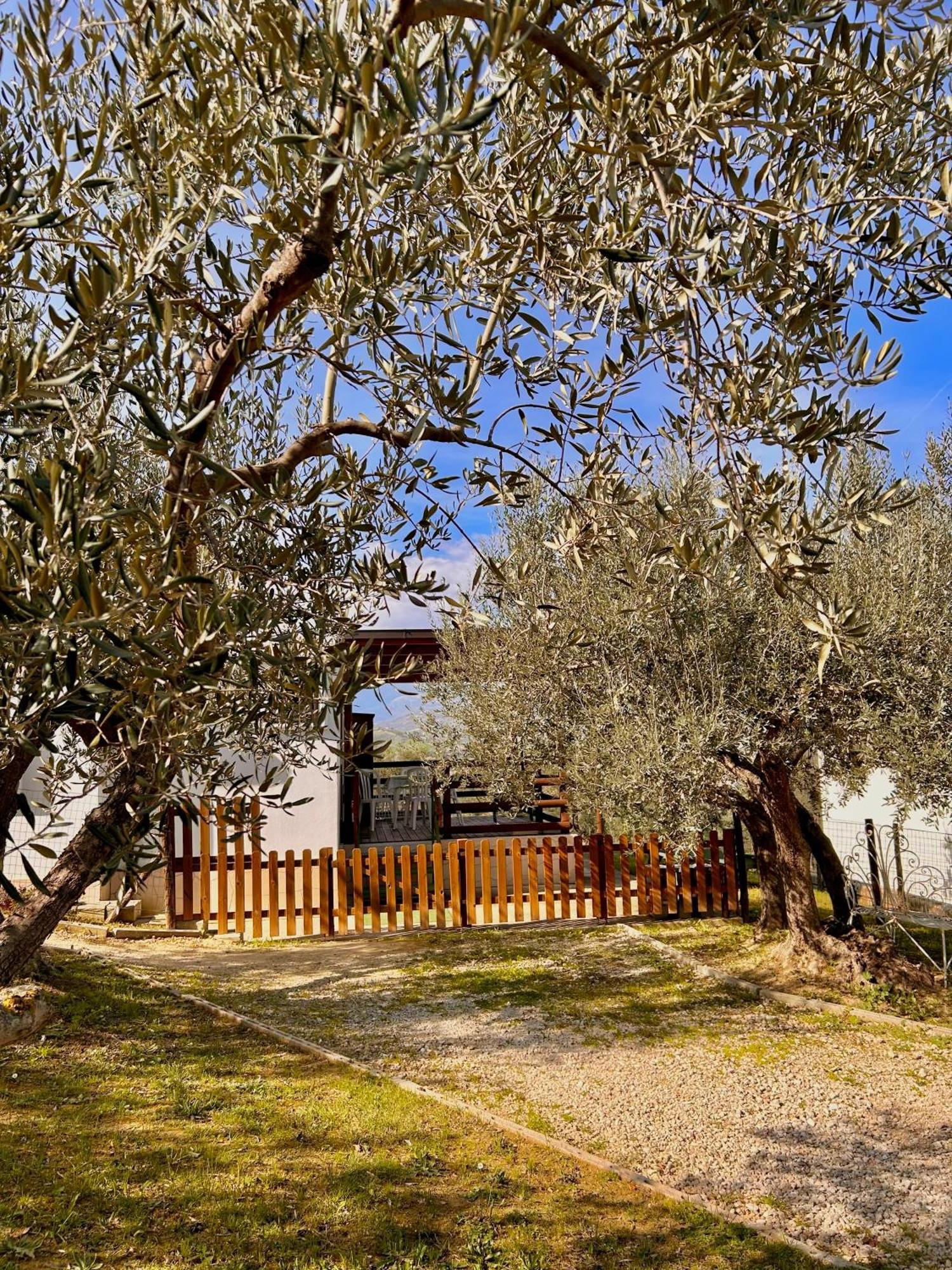 Oasi Macerina Villa Alanno Dış mekan fotoğraf