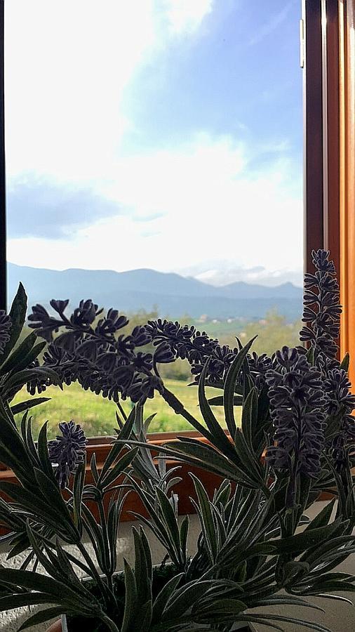 Oasi Macerina Villa Alanno Dış mekan fotoğraf